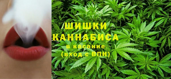 метадон Заводоуковск