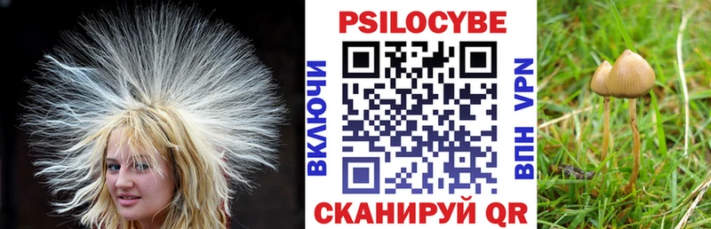 как найти закладки  Новый Уренгой  гидра   Псилоцибиновые грибы ЛСД 